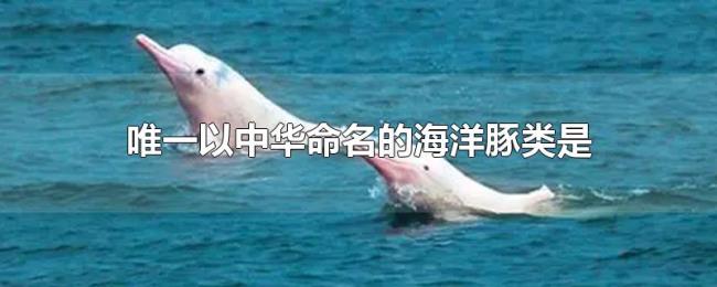 唯一以中华命名的海洋豚类是 唯一以中华命名的海洋豚类是