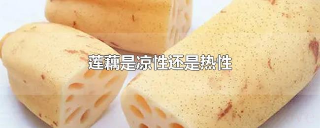 莲藕是凉性还是热性