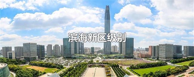 滨海新区级别
