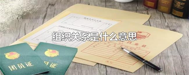 组织关系是什么意思