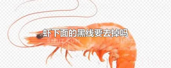 虾下面的黑线要去掉吗 虾下面的黑线要去掉吗