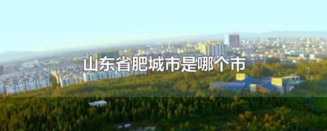 山东省肥城市是哪个市
