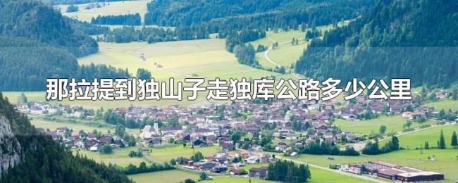 那拉提到独山子走独库公路多少公里 那拉提到独山子走独库公路多少公里
