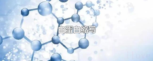 白蛋白缩写
