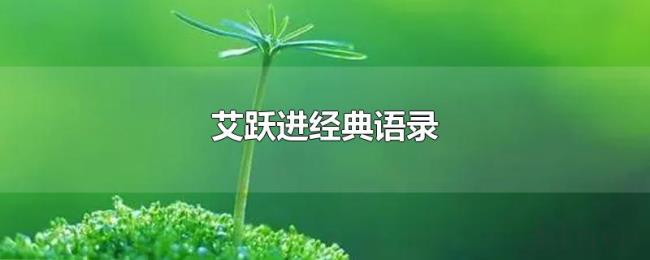 艾跃进经典语录 艾跃进经典语录