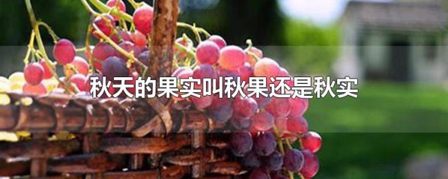 秋天的果实叫秋果还是秋实 秋天的果实叫秋果还是秋实