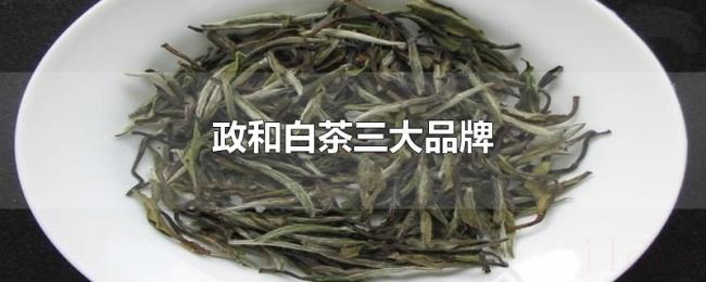 政和白茶三大品牌