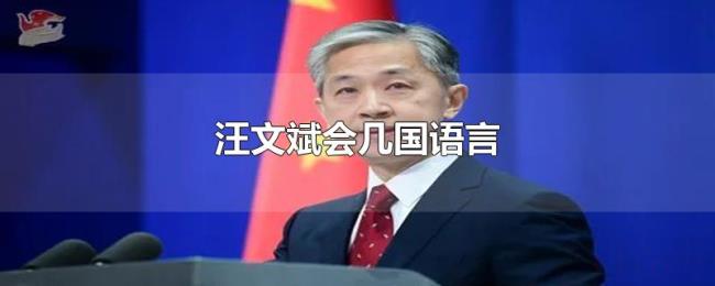 汪文斌会几国语言 汪文斌会几国语言