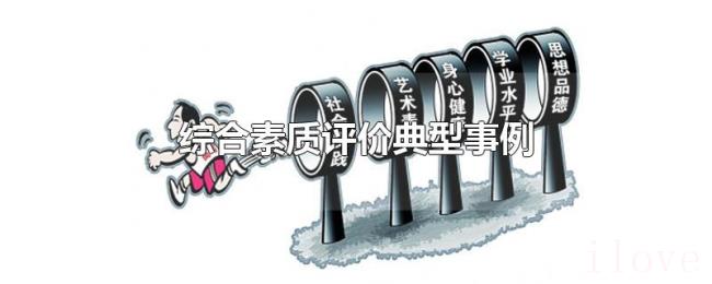 综合素质评价典型事例