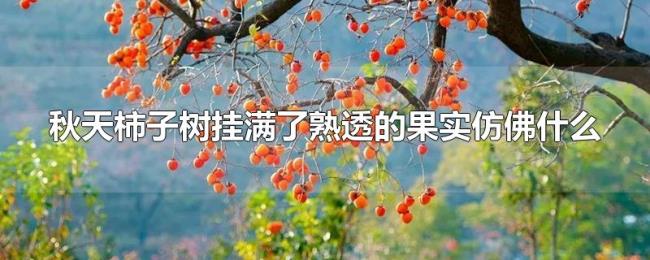 秋天柿子树挂满了熟透的果实仿佛什么