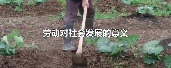 劳动对社会发展的意义 劳动对社会发展的意义