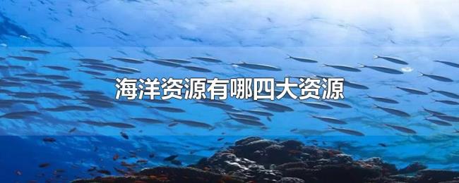海洋资源有哪四大资源 海洋资源有哪四大资源