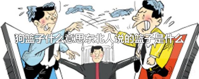 狗篮子什么意思东北人说的篮子是什么