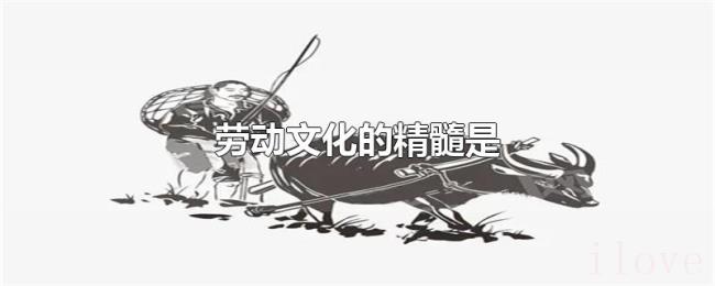劳动文化的精髓是