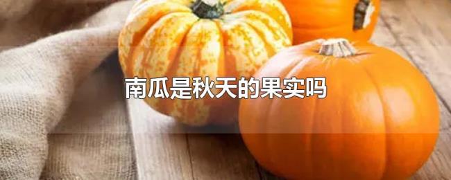 南瓜是秋天的果实吗 南瓜是秋天的果实吗
