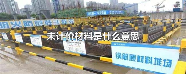 未计价材料是什么意思 未计价材料是什么意思