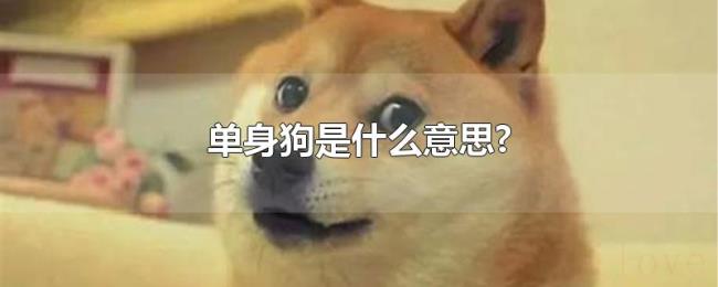 单身狗是什么意思?