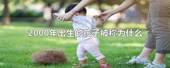2000年出生的孩子被称为什么 2000年出生的孩子被称为什么