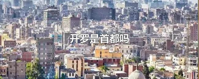 开罗是首都吗