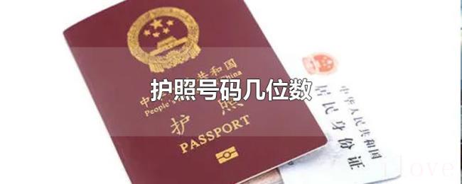护照号码几位数
