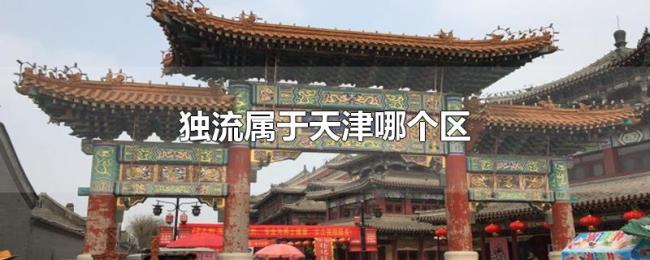 独流属于天津哪个区