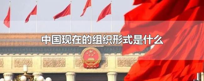 中国现在的组织形式是什么 中国现在的组织形式是什么