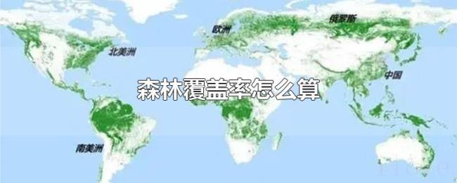 森林覆盖率怎么算 森林覆盖率怎么算