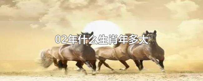 02年什么生肖年多大 02年什么生肖年多大