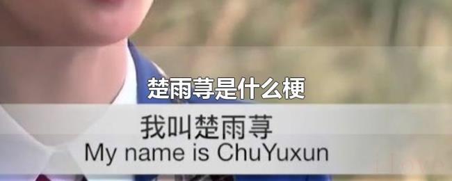 楚雨荨是什么梗 楚雨荨是什么梗