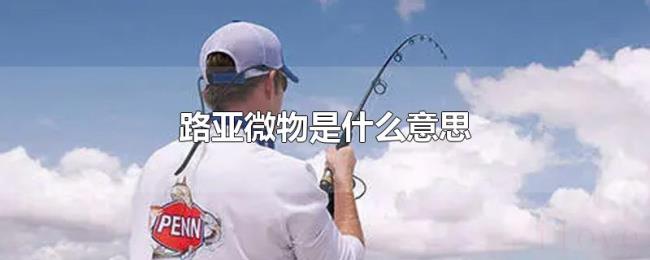 路亚微物是什么意思 路亚微物是什么意思