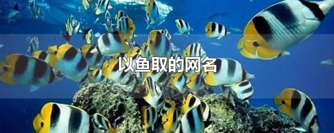 以鱼取的网名 以鱼取的网名