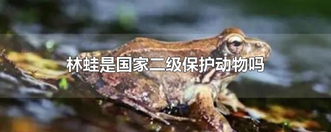林蛙是国家二级保护动物吗