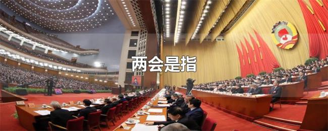 两会是指