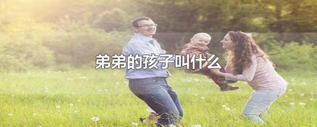 弟弟的孩子叫什么