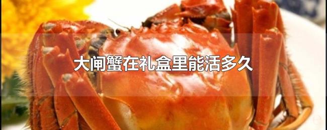 大闸蟹在礼盒里能活多久