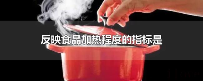 反映食品加热程度的指标是