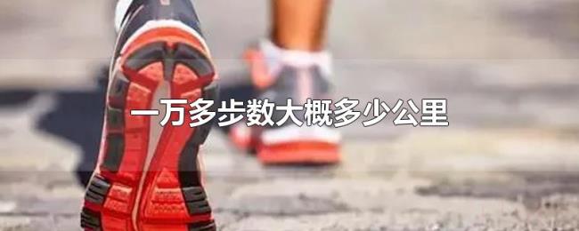 一万多步数大概多少公里 一万多步数大概多少公里