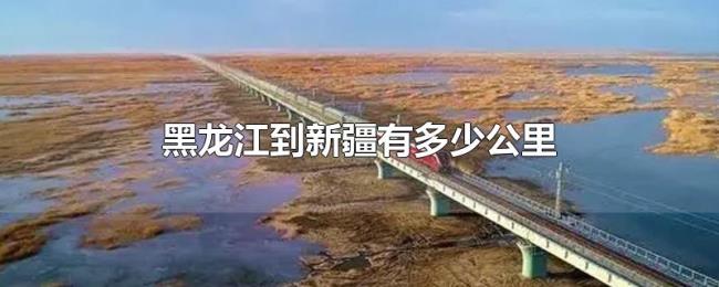 黑龙江到新疆有多少公里