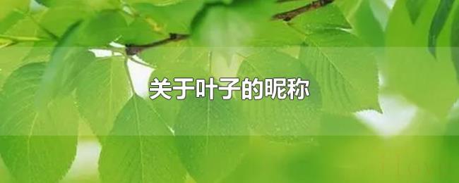 关于叶子的昵称