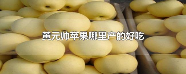 黄元帅苹果哪里产的好吃 黄元帅苹果哪里产的好吃