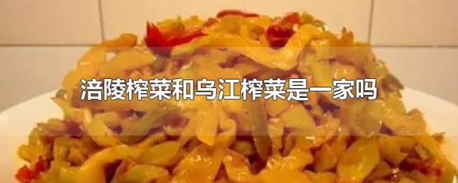 涪陵榨菜和乌江榨菜是一家吗 涪陵榨菜和乌江榨菜是一家吗