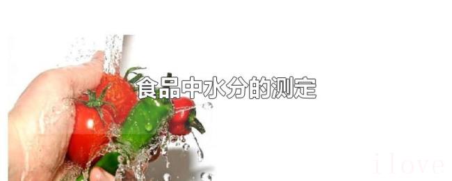 食品中水分的测定 食品中水分的测定