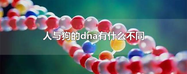人与狗的dna有什么不同