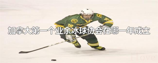 加拿大第一个业余冰球协会在哪一年成立