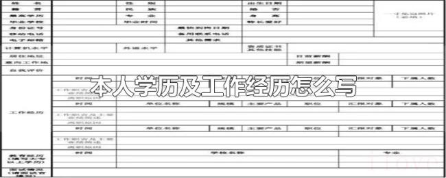 本人学历及工作经历怎么写