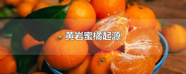 黄岩蜜橘起源
