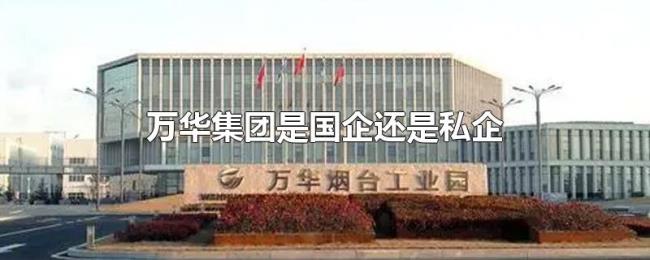 万华集团是国企还是私企