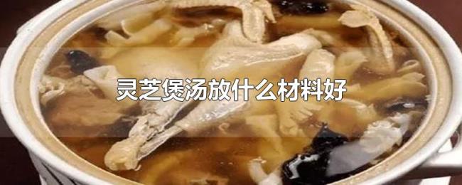 灵芝煲汤放什么材料好 灵芝煲汤放什么材料好