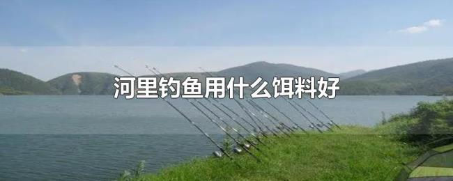 河里钓鱼用什么饵料好
