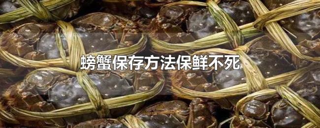 螃蟹保存方法保鲜不死 螃蟹保存方法保鲜不死